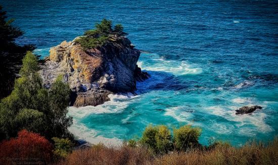Parc d'état Pfeiffer de Big Sur